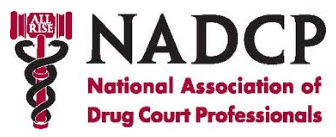 Judge Karahan Attends The 2017 National Association Of Drug Court Professionals Conference